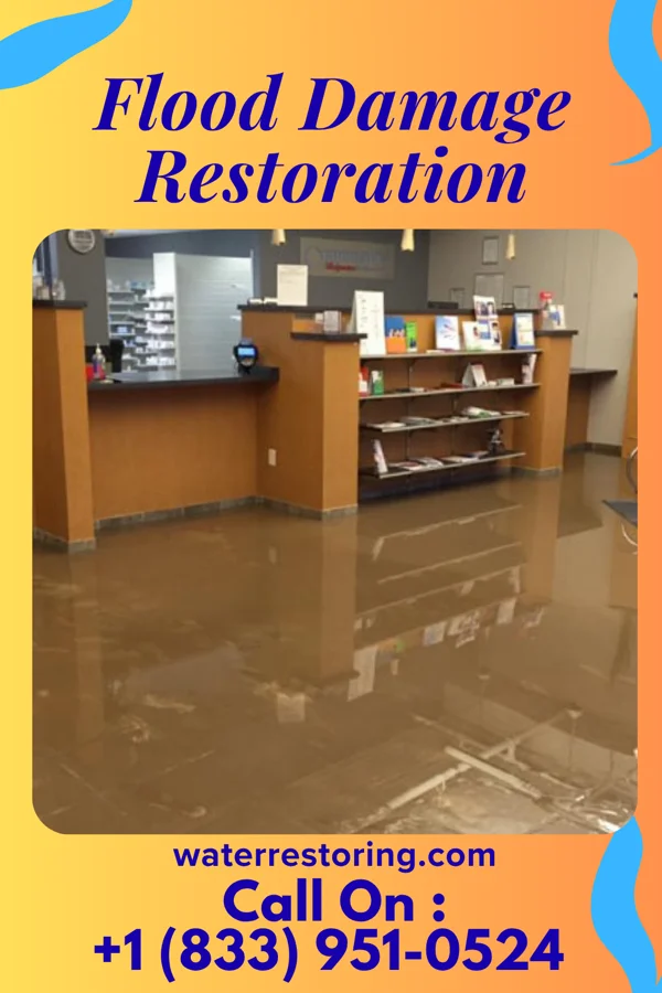 Flood Damage Restoration in Alda, NE