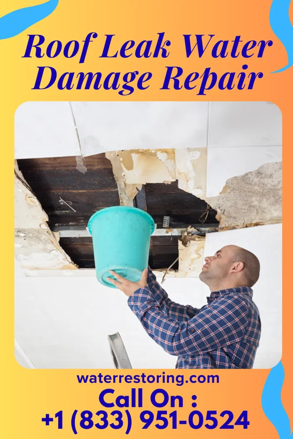 Roof Leak Water Damage Repair in Alda, NE