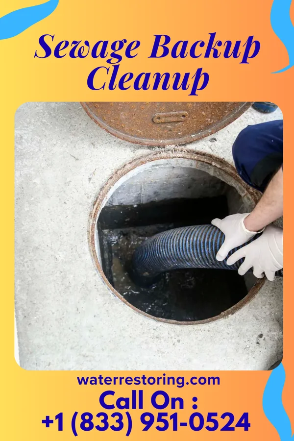 Sewage Backup Cleanup in Alda, NE