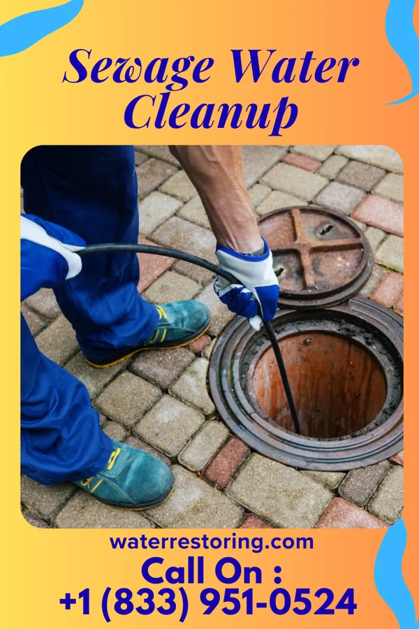 Sewage Water Cleanup in Alda, NE