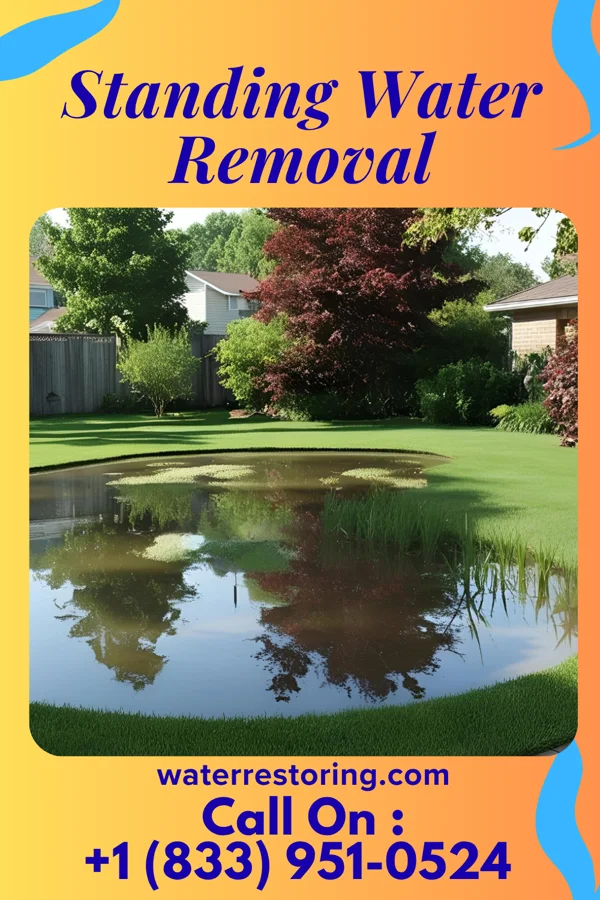 Standing Water Removal in Alda, NE